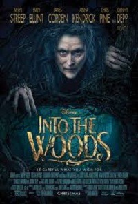 دانلود کامل زیرنویس فارسی Into the Woods 2014