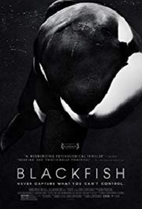 دانلود کامل زیرنویس فارسی Blackfish 2013