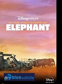 دانلود کامل زیرنویس فارسی مستند In the Footsteps of Elephant 2020