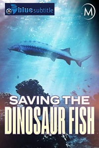 دانلود کامل زیرنویس فارسی مستند Saving the Dinosaur Fish 2020