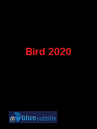 دانلود کامل زیرنویس فارسی فیلم Bird 2020