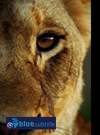 دانلود کامل زیرنویس فارسی مستند Malika the Lion Queen 2021