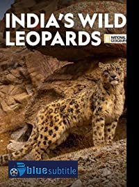 دانلود کامل زیرنویس فارسی مستند India’s Wild Leopards 2020