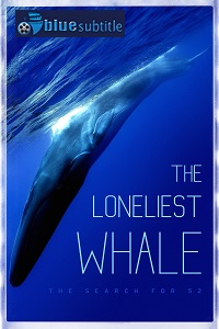 دانلود کامل زیرنویس فارسی مستند The Loneliest Whale: the Search for 52 2021