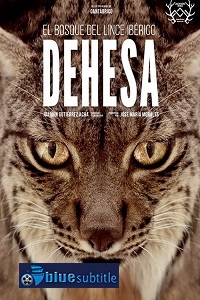دانلود کامل زیرنویس فارسی مستند Dehesa, el bosque del lince ibérico 2020