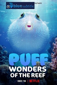 دانلود کامل زیرنویس فارسی مستند?Puff: Wonders of the Reef 2021?