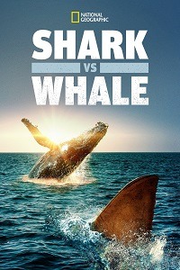 دانلود کامل زیرنویس فارسی مستند Shark vs. Whale 2020