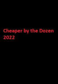 دانلود زیرنویس فارسی فیلم Cheaper by the Dozen 2022