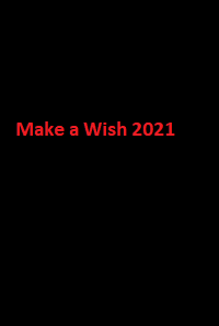 دانلود زیرنویس فارسی سریال Make a Wish 2021
