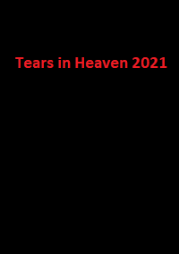 دانلود زیرنویس فارسی سریال Tears in Heaven 2021