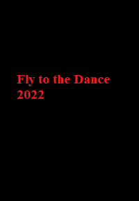 دانلود زیرنویس فارسی سریال Fly to the Dance 2022