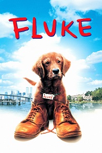 دانلود زیرنویس فارسی فیلم Fluke 1995