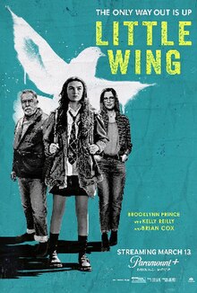 دانلود زیرنویس فارسی فیلم Little Wing 2024