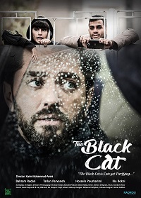 دانلود فیلم The Black Cat 2020 (گربه سیاه 2020) رایگان
