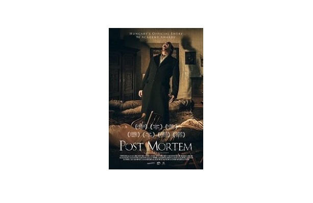 Free Download subtitle movie 🔥Post Mortem 2020🔥
