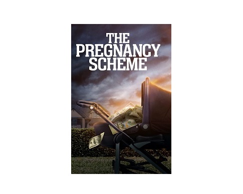 The Pregnancy Scheme.262660 