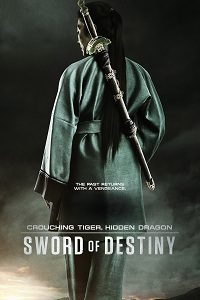 دانلود کامل زیرنویس فارسی Crouching Tiger, Hidden Dragon: Sword of Destiny 2016