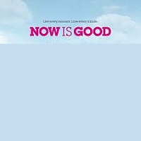 دانلود کامل زیرنویس فارسی Now Is Good 2012