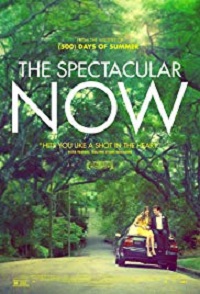 دانلود کامل زیرنویس فارسی The Spectacular Now 2013