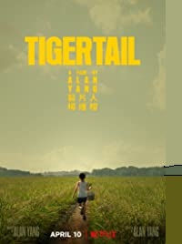دانلود کامل زیرنویس فارسی Tigertail 2020