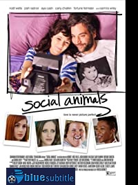 دانلود کامل زیرنویس فارسی Social Animals 2018