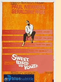 دانلود کامل زیرنویس فارسی فیلم Sweet Bird of Youth 1962