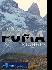 دانلود کامل زیرنویس فارسی فیلم Into the Puma Triangle 2020