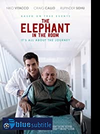 دانلود کامل زیرنویس فارسی فیلم The Elephant in the Room 2020