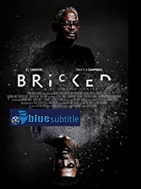 دانلود کامل زیرنویس فارسی فیلم Bricked 2019