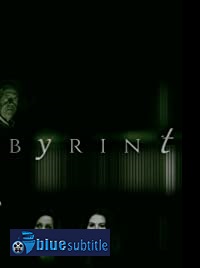 دانلود کامل زیرنویس فارسی فیلم Labyrinthus:The way of not being 2021