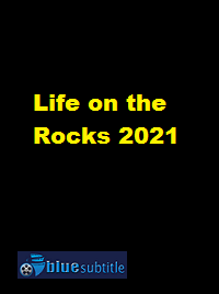 دانلود کامل زیرنویس فارسی فیلم Life on the Rocks 2021