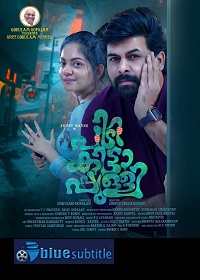 دانلود کامل زیرنویس فارسی فیلم Pidikittapulli 2021