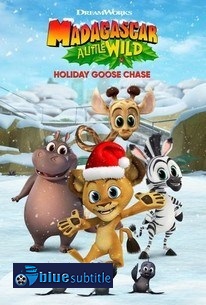 دانلود کامل زیرنویس فارسی انیمیشن Madagascar: A Little Wild Holiday Goose Chase 2021
