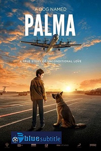 دانلود کامل زیرنویس فارسی فیلم Palma 2021