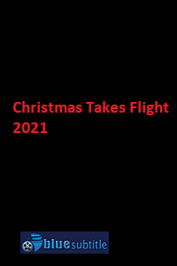 دانلود کامل زیرنویس فارسی فیلم?Christmas Takes Flight 2021?