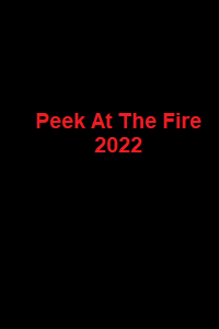 دانلود زیرنویس فارسی فیلم Peek At The Fire 2022