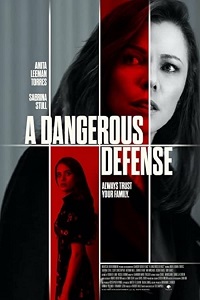 دانلود کامل زیرنویس فارسی فیلم A Dangerous Defense 2021