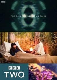 دانلود زیرنویس فارسی مستند The Psychedelic Drug Trial 2021