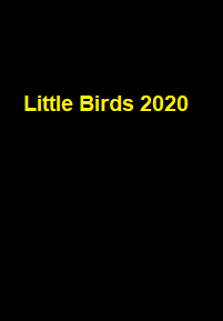 دانلود زیرنویس فارسی سریال Little Birds 2020