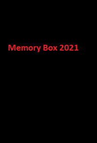 دانلود زیرنویس فارسی فیلم Memory Box 2021