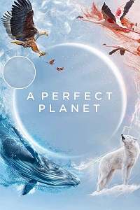 دانلود زیرنویس فارسی سریال A Perfect Planet 2021