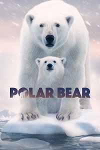 دانلود زیرنویس فارسی مستند Polar Bear 2022