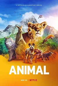 دانلود زیرنویس فارسی سریال Animal 2021