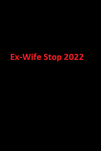 دانلود زیرنویس فارسی سریال Ex-Wife Stop 2022