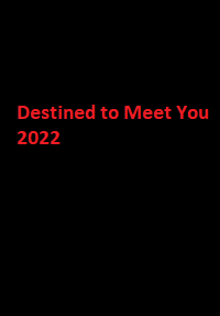 دانلود زیرنویس فارسی سریال Destined to Meet You 2022