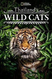 دانلود زیرنویس فارسی مستند Thailand’s Wild Cats 2021