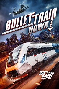دانلود زیرنویس فارسی فیلم Bullet Train Down 2022