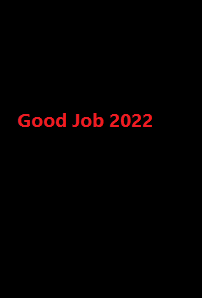دانلود زیرنویس فارسی سریال Good Job 2022