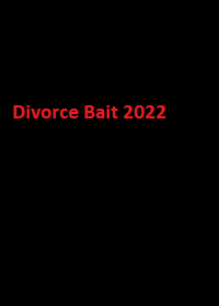 دانلود زیرنویس فارسی فیلم Divorce Bait 2022