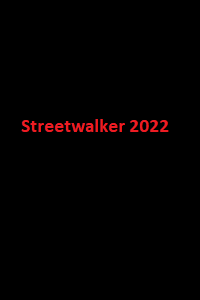 دانلود زیرنویس فارسی فیلم Streetwalker 2022